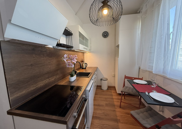 Prenájom 2 izbový byt Toplianska ulica Bratislava